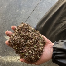 花椒杆通货