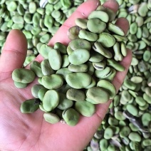 蚕豆干蚕豆