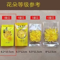 金丝皇菊茶12斤/件