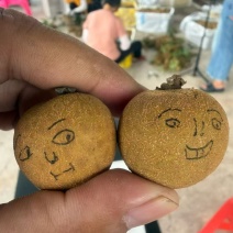 龙眼储良统货