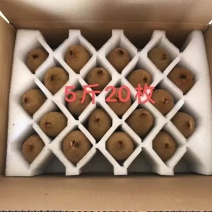 绿心猕猴桃米粮一号