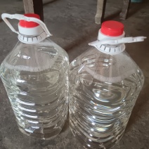 白酒55度玉米酒