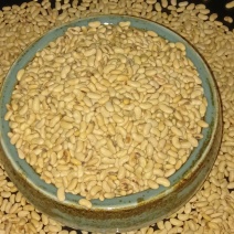 大豆通货/精品