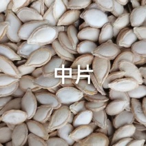 瓜子
