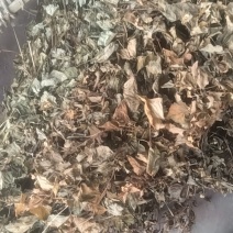 鱼腥草干货