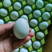 土鸡蛋粉壳100元/箱(360枚)，绿壳140元/箱(3