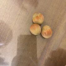 榛子混青皮