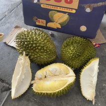 金枕头榴莲A/B/C/D等级