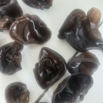 春耳统货