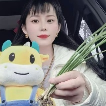 洋葱苗一亩地2万棵