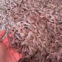 河虾