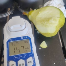 贵妃梨通货大小一起