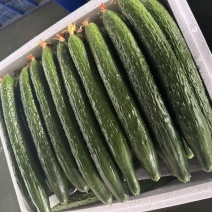 黄瓜精品/通货