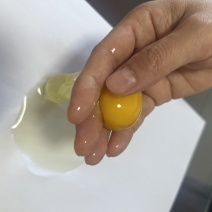 鸡蛋粉蛋