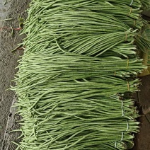 江豆