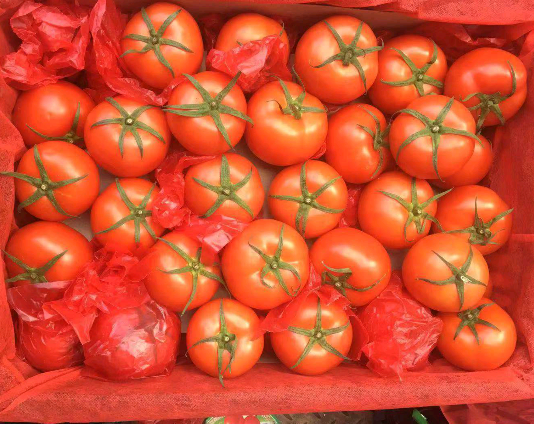 最低的市场 近期价格平稳 厦门闽南 市场价格最高 筐装一级货价格为1