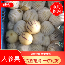 云南人参果自产自销，专业电商直播平台一件代发，欢迎恰谈