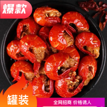 【全网招商】麻辣小龙虾/虾尾/虾球即食罐装熟食/现做海鲜
