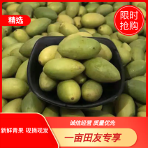 2025年新鲜橄榄果，新鲜青果。大量有货，现摘现发。