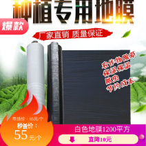 农用黑色除草地膜白色保温保湿地膜工程用膜厂家直销欢迎选购