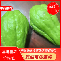佛手瓜，，依着自己种自己销，我们有自己的合作社。