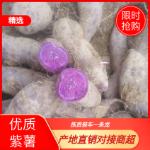 【热销】山东济宁泗水紫薯地瓜产地直发欢迎选购可视频看货