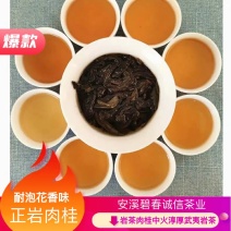 正岩肉桂岩茶肉桂中火淳厚武夷岩茶耐泡花香味