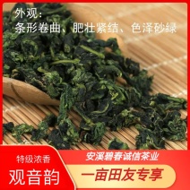铁观音秋感德特级浓香观音韵250g/盒2盒500g