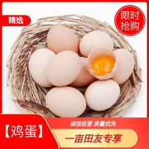 冀润德®农产品土鸡蛋批发纯粮饲养