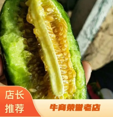 博洋91甜瓜原产地供应糖度高山东甜瓜适合微商社区