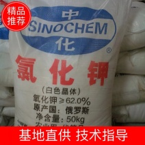 现货批发氯化钾农业级俄罗斯晶体钾肥养殖用氯化钾