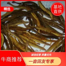 泥鳅，圆鳅，湖北洪湖生态养殖，鲜活到家，长期供应！！