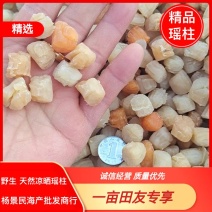 扇贝丁干贝瑶柱足干当季新货，淡干颗粒饱满一手货源