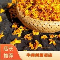 鼓槌石斛花云南干货500克起包邮量大从优