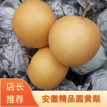 精品️圆黄梨万亩基地直供诚信报价产地直发