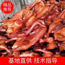 烟熏板鸭卤板鸭大量现货,江湖地摊展销，好货好质量