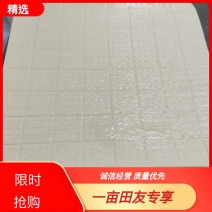 【热销】河北保定纯卤水豆腐地锅烧制货源充足味道鲜美