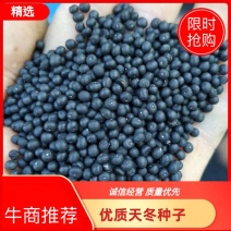 【优质】云南大天冬种子天门冬种良种大天冬子种提供种植技术
