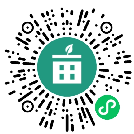 皂角树米径五公分自产自销