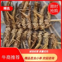 安徽阜阳新鲜蚂蚱串一件10包烧烤食材蝗虫厂家直销