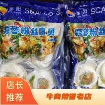 蒜蓉粉丝扇贝海鲜虾夷扇贝烧烤火锅食材一件代发