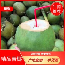 海南文昌椰子带皮青椰优选大果一年四季供应产地直销