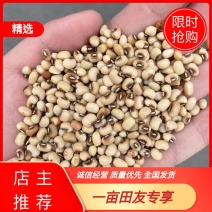 红门白豇豆小粒，现货50吨，有需要的老板请联系我