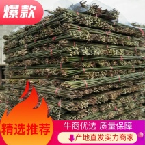 湖南批发竹竿自产自销优质2.5米50条竹竿