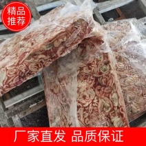 小肉鸡鸡肠，三黄鸡肠养鱼用质量好，纯干无水诚信经营