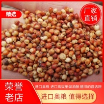 大量批发供应大颗粒红高粱，容重780，水分13，净粮
