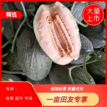 大量上市)山东莘县25号哈密瓜产地直供耐运输
