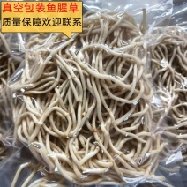 鱼腥草折耳根，欢迎电商社区团购真空包装质量保障欢迎来电