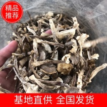 鹿茸菇来自大山里的美味煲汤鲜炒来自菌类的味道鹿茸菇