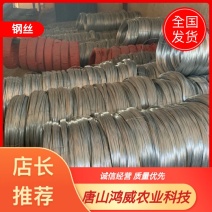 钢丝热镀锌铁丝锌钢绞线厚锌层葡萄钢丝弥猴桃不生锈